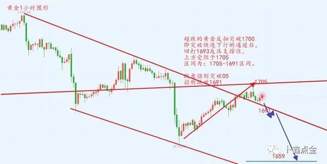 青蛙市场最新价格行情,青蛙市场最新价格行情分析