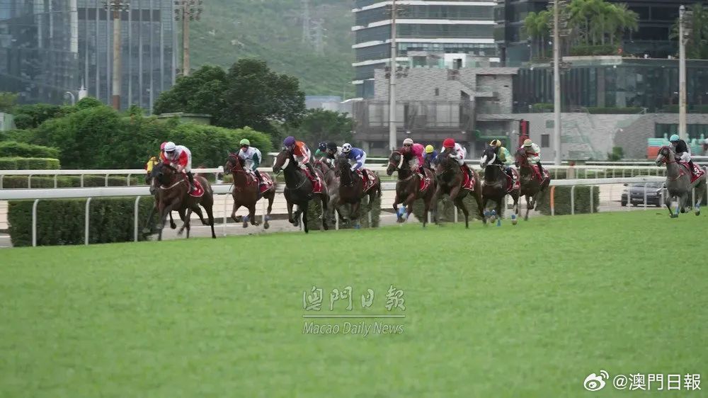 澳门六今晚开什么特马,澳门六今晚开什么特马，探索澳门赛马文化的魅力