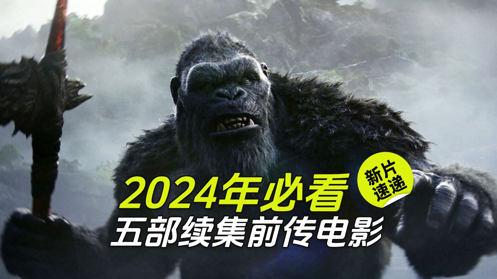 2024新版四不像今晚上映,重磅来袭，2024新版四不像今晚上映——探秘电影新篇章