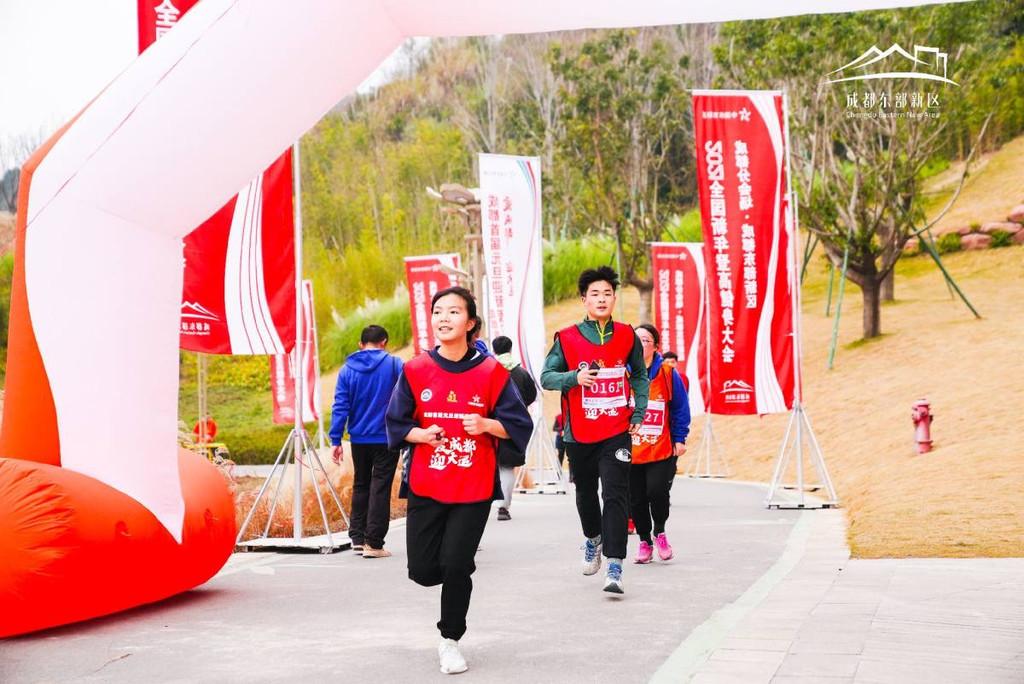 2024香港免费精准资料,探索未来之门，香港免费精准资料的深度解读（2024版）