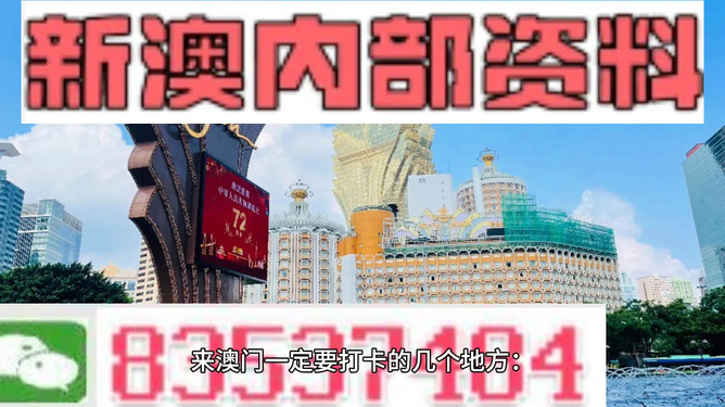 2024新澳门王中王正版,探索新澳门王中王正版，未来的机遇与挑战