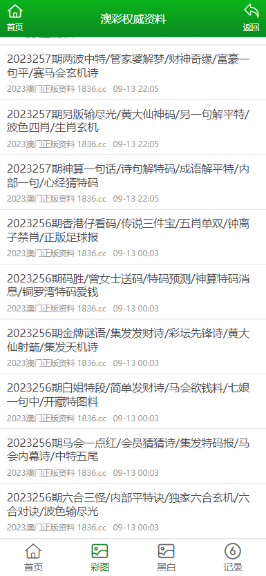 2025澳门资料大全正新版,澳门资料大全，探索2025年新版魅力